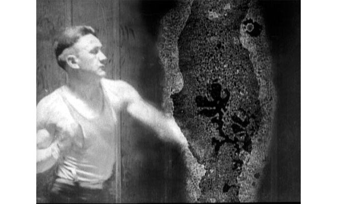 Деказия: Состояние разложения