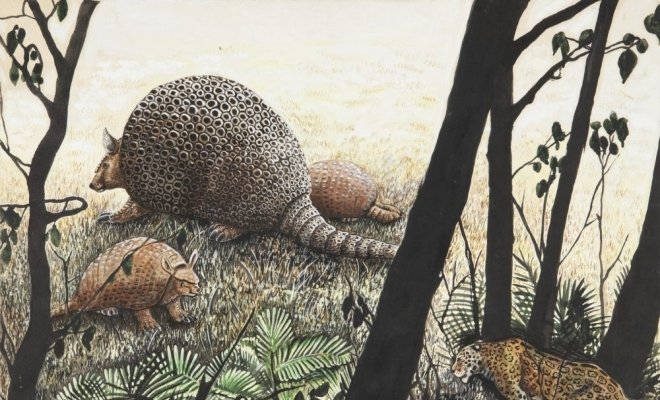 Музейное занятие «Волшебство фитоживописи»