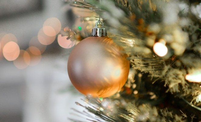 Йети, камера, мотор!