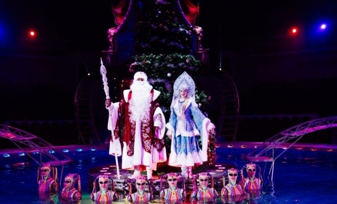 Цирк на воде. Подводное царство