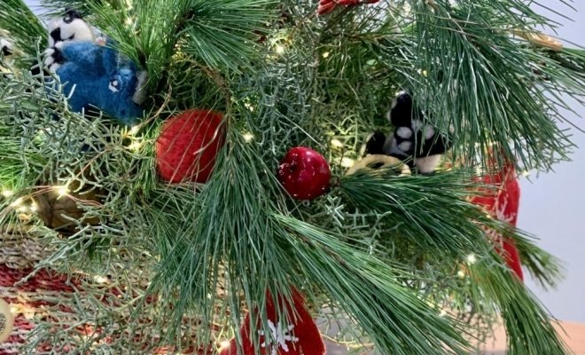 Новый год: История большого праздника. Игра с переводом на РЖЯ