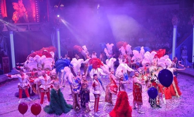 Новогоднее тропик-шоу