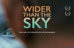 Больше неба