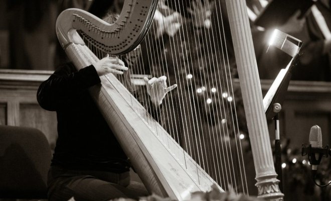 Класс арфы Надежды Сергеевой
