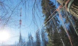 Пять скоростных занятий