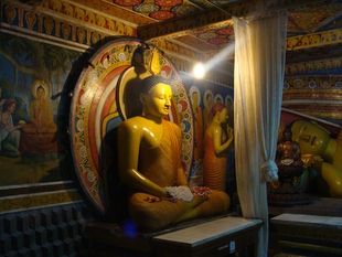Корица, Будда, леопард: 5 вещей, которые надо сделать на Шри-Ланке