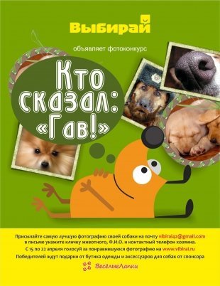 Кто сказал: "Гав!"