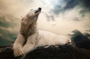 Планы на выходные в Красноярске: 7 и 8 декабря