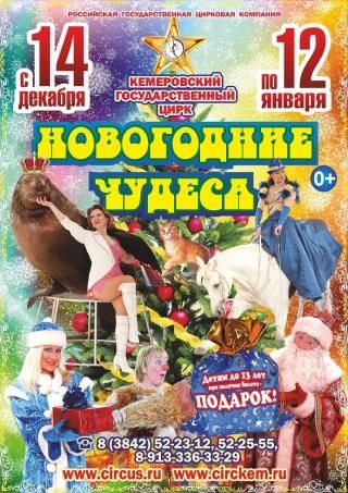 НОВОГОДНИЕ ЧУДЕСА