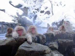 Пять мест мира, где всегда есть горячая вода
