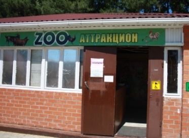 В Адлерском парке открылся новый контактный зоопарк 