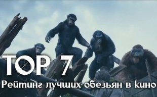 Выбирай-ТВ: 7 лучших кинообезьян