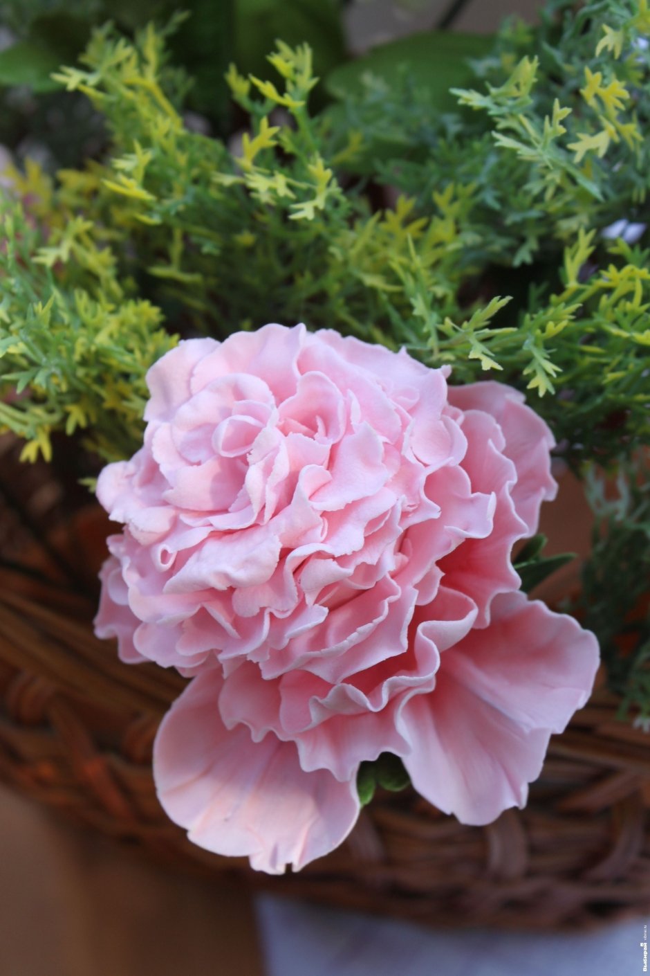 Орхидеи из… сахара Орхидеи из… сахара