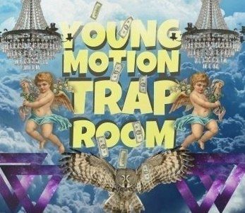 YOUNG MOTION TRAP ROOM в HomePlace