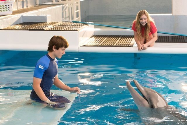 «История дельфина-2» (Dolphin Tale 2)