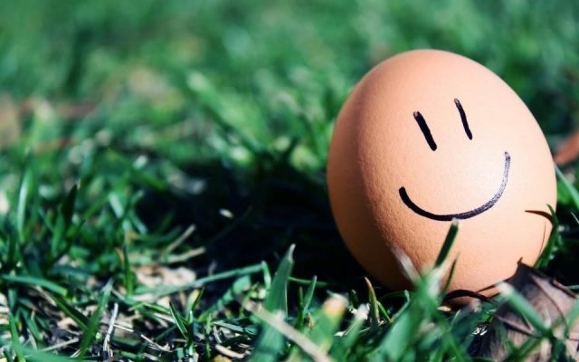 В Астане отметят День яйца! 