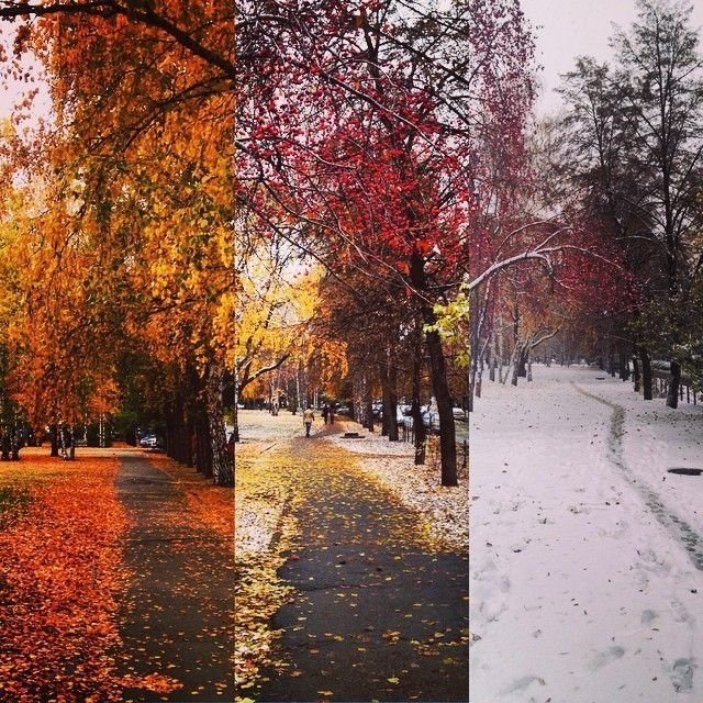 Первый снег в Челябинске в Instagram