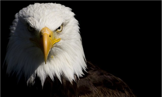 В Астане американцу вручили медаль за организацию учения «Степной орел-2014»