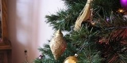 Библиотечный новогодний квест «Зимние забавы» пройдет с 12 по 29 декабря