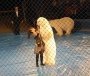 Связи с празднованием Рождества Христова !!! 6-го января спектакль только на 12-00!! 7-го января спектакль только на 16-00!!!