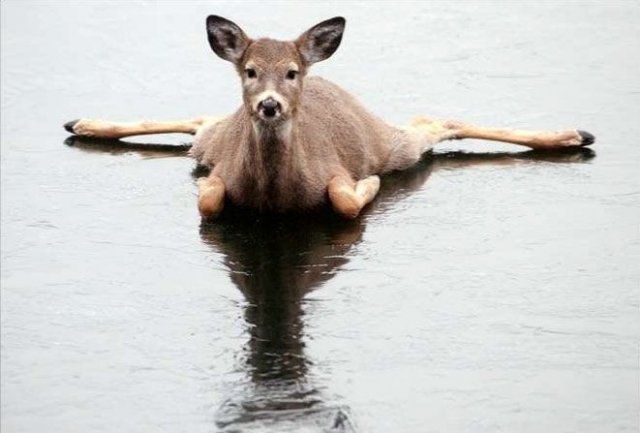 На Старый Новый год объявлено штормовое предупреждение...