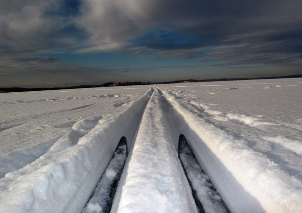 «Сургутская лыжня - 2015» стартует 8 фераля 