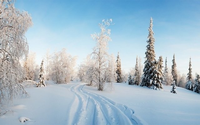 Местные велосипедисты зовут всех в лес