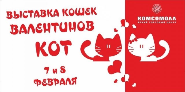 7 и 8 февраля в ТРК "КомсоМОЛЛ" очередная выставка кошек