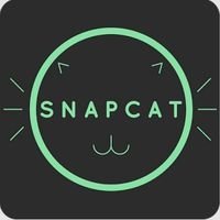 приложение для животных, питомцы, кошки, Snapcat