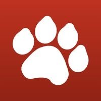 приложение для животных, питомцы, кошки, Tag a Cat, инстаграм для кошек, кошачий Tinder