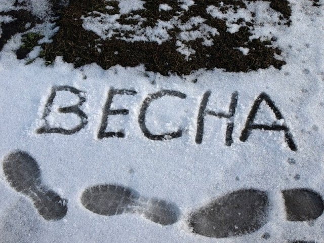 Совсем скоро Омск останется без снега