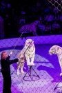Кисловодский цирк готовит зрителям чудесный весенний сюрприз!