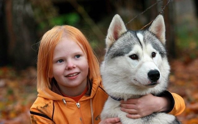 Потискать хаски можно будет на фотоутреннике