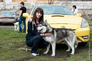 В Темиртау прошла национальная выставка собак