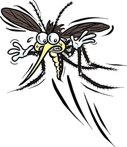В Астане уже принялись травить кусачих комариков!