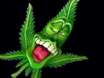 У «Байтерека» растет конопля…