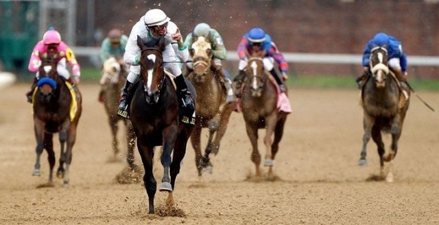 На Тюменском ипподроме пройдут "Скачки фаворитов"