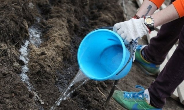 200 подростков заставят Курган блестеть