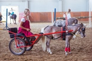Уральская региональная конная выставка UralHorse-2015
