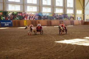 Уральская региональная конная выставка UralHorse-2015