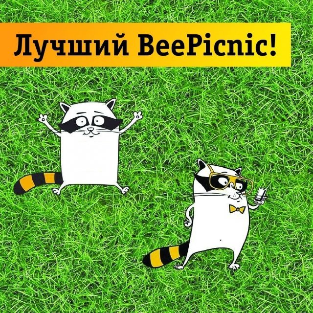 BeePicnic от «Билайн»