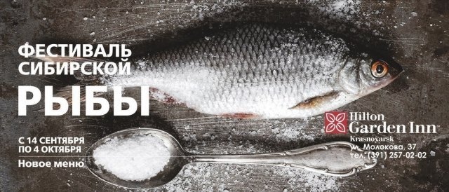До 4 октября в  ресторане Garden Grille&Bar (Hilton) проходит Фестиваль сибирской рыбы