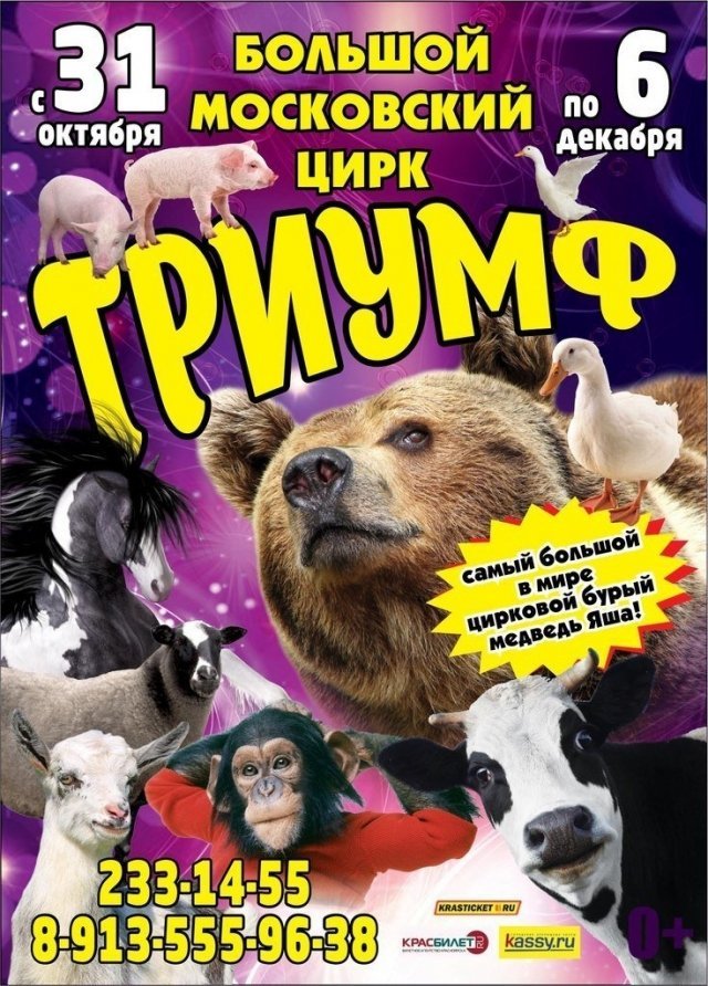 31 октября в Красноярск приедет большой московский цирк «Триумф»
