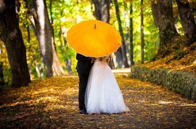 В Тольятти продолжает уменьшаться количество зафиксированных браков