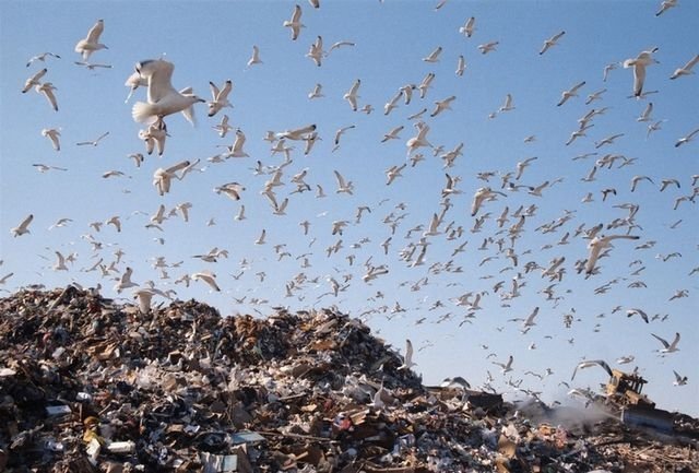 В Челябинской области создадут шесть новых полигонов для мусора