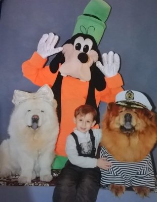 «Зубарев Мирон Андреевич, моему сынуле 4 года. Он очень творческий, добрый и веселый мальчишка! Мирон любит героя Гуффи, потому что считает его доброй и веселой собачкой!»