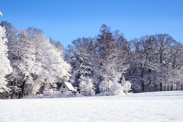 24 января на острове Татышев отметят Международный день снега