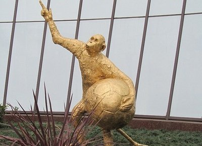 Символом ЧМ по футболу в Сочи стала обезьяна
