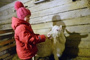 Как ребята из северных уральских деревень получили подарки