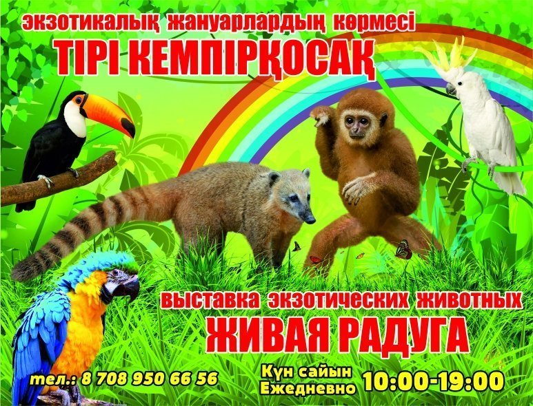 Экзотические животные тамбов выставка. Выставка экзотических животных набережные челны. Афиша выставка экзотических животных. Живые тропики. Экзотические животные тамбов выставка.